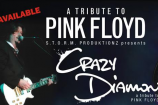 Mel Botes: Crazy Diamond: Pink Floyd Tribute @ Potters Place |