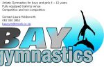 Bay Gymnastics Bay Gymnastics